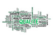 Nuage de Tags "QUALITE" (qualité totale design norme garantie)