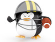Football Player
