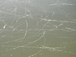 Foto: eislaufplatz eislaufplatz
