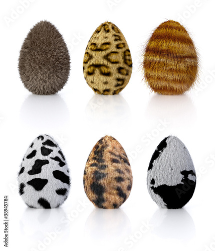 Illustration: Eier mit Fell 02 Eier mit Fell 02
