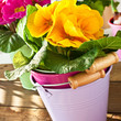Frühling - Dekoration