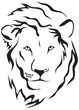 muzzle of a lion