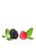fruits rouges