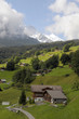 Chalets in fields above Grindelwald