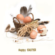 Brown speckled eggs with straw and feathers