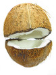 coconut nut isolated