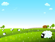 Sheep meadow