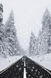 Strasse im Winter