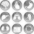 gray balls medical icons (eps10) gray balls medical icons (eps10)