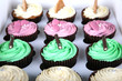 A Fresh tray of Cupcakes A Fresh tray of Cupcakes
