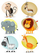 African Jungle Animals Collection