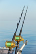 Photo: big game fishing big game fishing