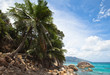 Beautiful seascape with blue Palm,  sky and clouds