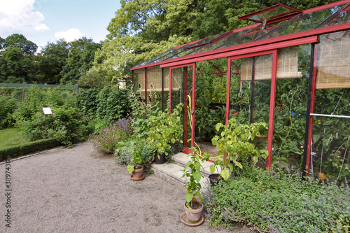 Photo: Tidy Greenhouse Tidy Greenhouse