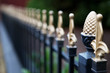 Gold tipped Iron fence narrow DOF