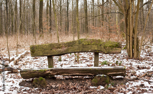 Photo: Bemooste und vermoderte Bank im Wald Bemooste und vermoderte Bank im Wald