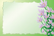 Cute spring background with pink flowers Cute spring background with pink flowers