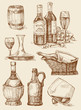wine hand drawn collection