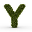 Buchstabe Y Natur