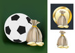 soccer ball and the money bag