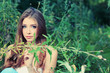 meadow meadow