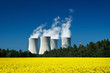 Nucler power, green energy
