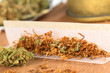 Photo: Rolling a joint out of marijuana and tobacco Rolling a joint out of marijuana and tobacco