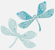 Two dragonfly with unique pattern