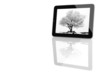 Foto: Tablet PC with a winter tree Tablet PC with a winter tree