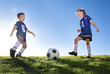 Young Soccer Players on a team
