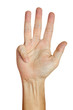 Hand - vier Finger - freigestellt