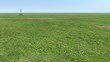 Roller brush painting a road on grass
