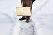 Mann mit Schneeschieber