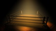 Video: Boxing Ring_HD Loop 5 Boxing Ring_HD Loop 5