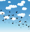 vector flying birds and clouds in the sky
