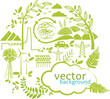 vector green circle with design elements
