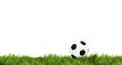 Photo: Ball on grass isolated Ball on grass isolated