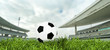 Photo: Classic soccer ball on green grass in a big stadium Classic soccer ball on green grass in a big stadium