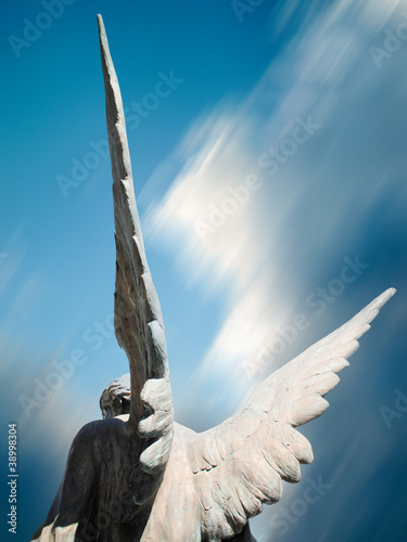 Photo: angel wings angel wings