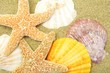 beach background