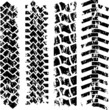 Tire tracks