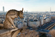 Notre Dame Chimera overlooking the skyline of Paris
