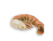 Single Cooked Shrimp Isolated on White Single Cooked Shrimp Isolated on White