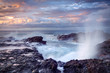 Souffleur au crépuscule - Ile de La Réunion Souffleur au crépuscule - Ile de La Réunion