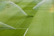 irrigation turf