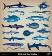 Engraving vintage fish and sea snake.