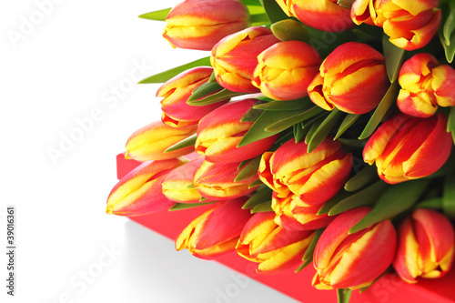 Photo: Festive red box with tulips isolated on white background Festive red box with tulips isolated on white background