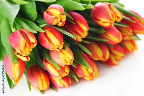 Photo: Spring bouquet tulips on white background Spring bouquet tulips on white background