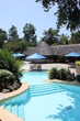 Tropical garden pool Tropical garden pool