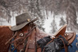 Reiten im Schnee